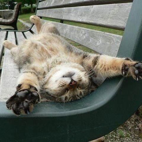 Ирина Средняк