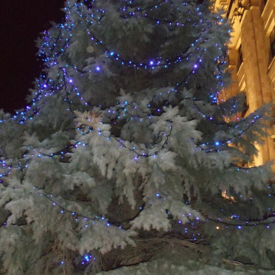 Сергей Ковтун