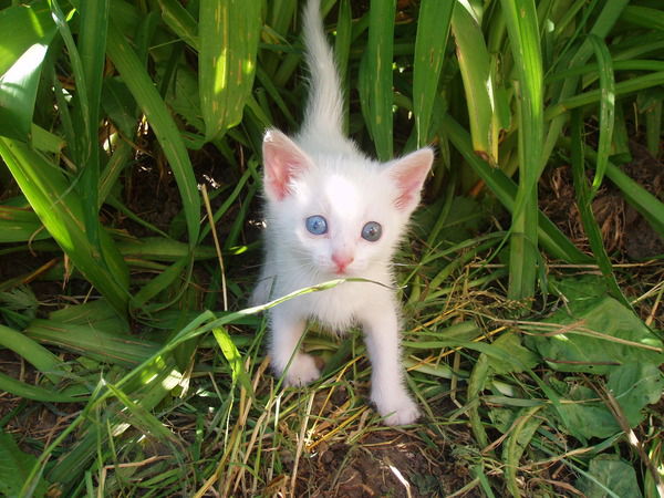 Неизвестно Неизвестно