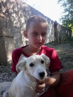 Константин Алейников