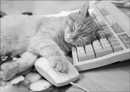 Ольга Милованова