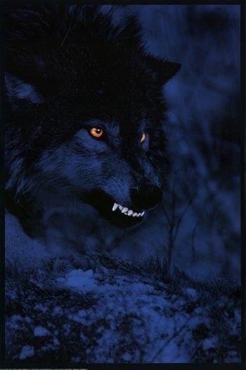 Баглан Айхынов