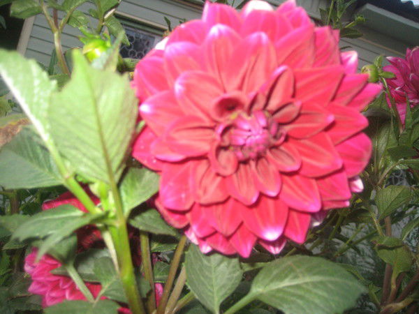 Эльмира Нургалиева