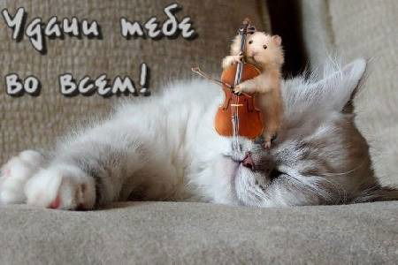 Райхан Сарсенбаевна