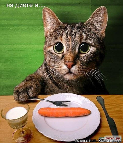 Дмитрий Гуркин