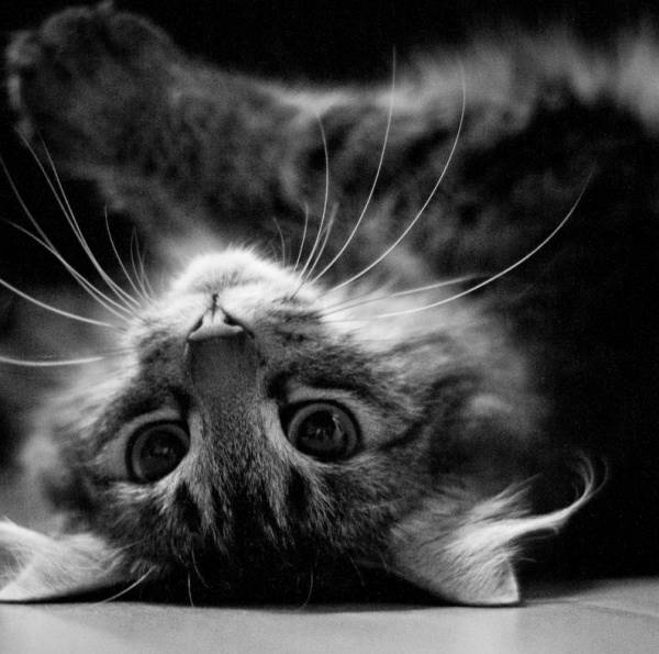 Олеся И Сергей Русаковы