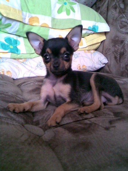 Нина Зеленова