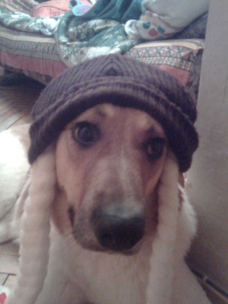 Ольга Самсонова