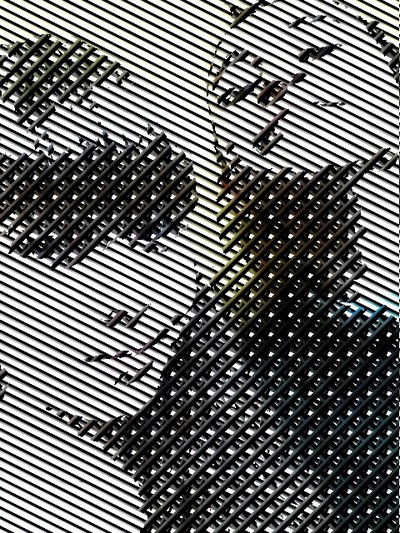 Кристина Литвинова