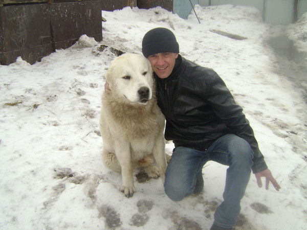 Юрий Шевчук