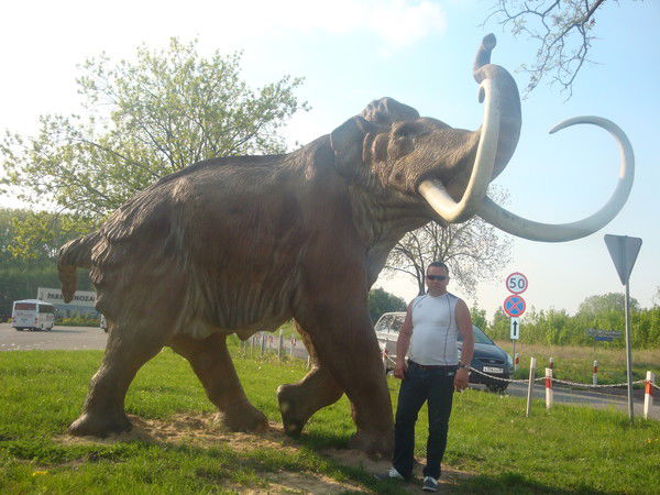 Андрей Вотяков