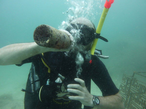 Алексей Гуро