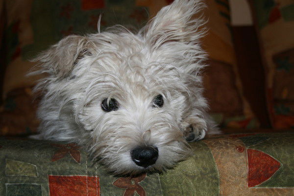 Марина Петровна Каз