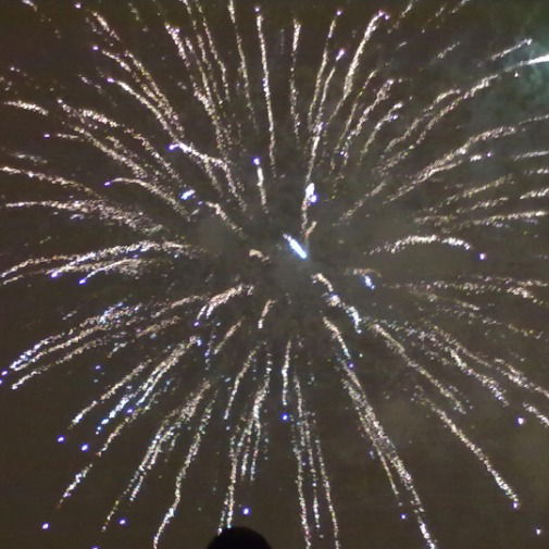 Елена Беляева