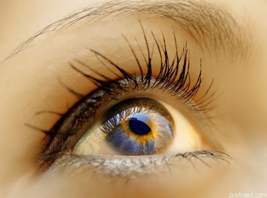 Анна Кристева