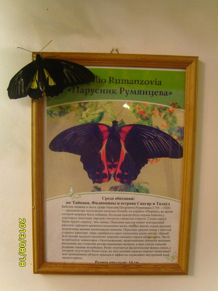 Александр Захаров