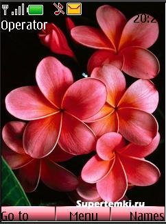 Наталия Никонова