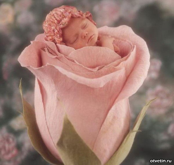 Дима Петров