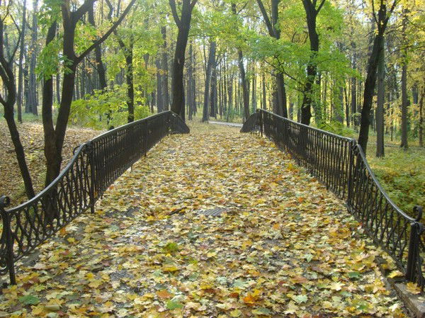 Дмитрий Чураев