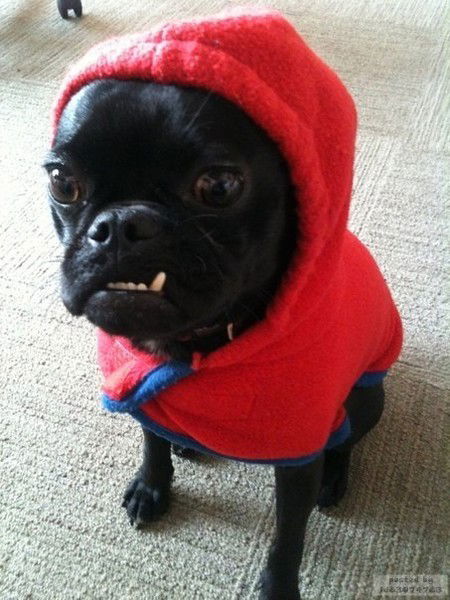 Алибек Карамаканов