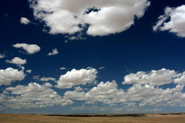 Муги Алтангэрэл