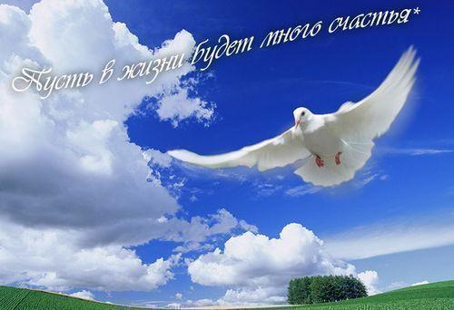 Сайлау Исаков