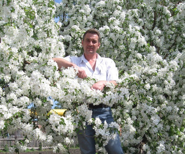 Александр Анисимов