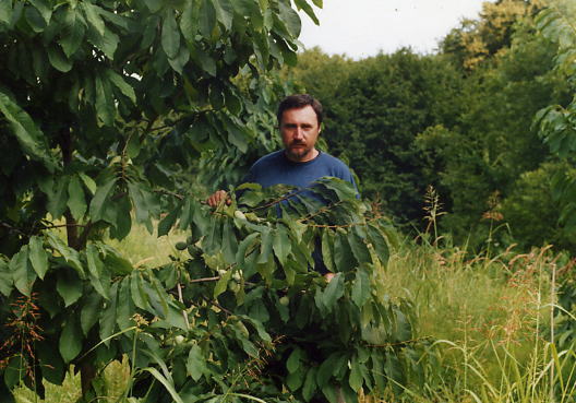 Феликс Иваненко