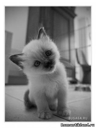 Салтанат Ергалиева