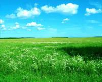 Татьяна Дрёмина