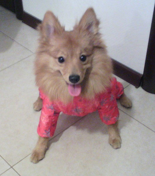 Ольга Илатовская