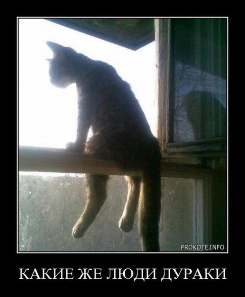 Владимир Спиркин