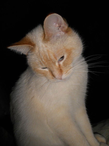 Анастасия Сакова