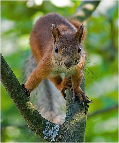 Александр Кузьмин