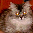 *м@рг@ритк@ *
