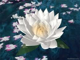 Nilufar Bobomurodova