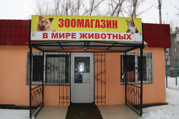 В Мире Животных В Мире Животных