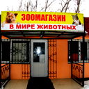 В Мире Животных В Мире Животных
