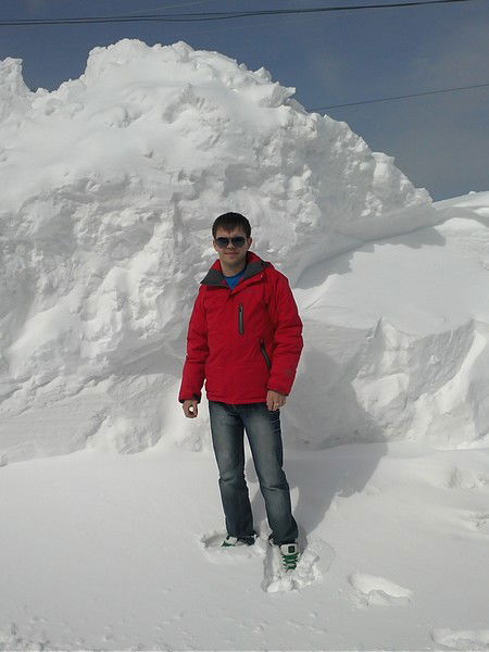 Владимир Новиков