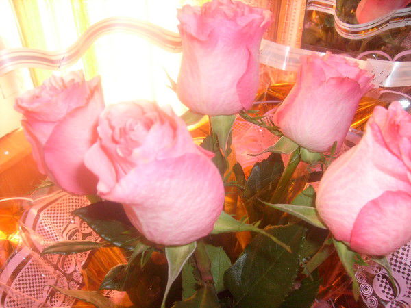 Валентина Мацнева