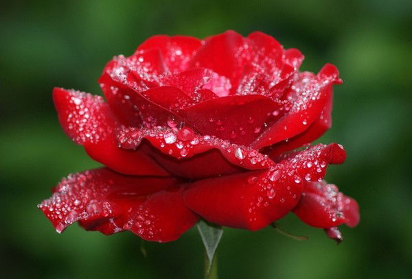 Жулдызай Таюпова