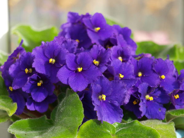 Акмарал Хайрушева