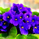 Акмарал Хайрушева