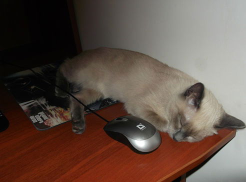 Сергей Чехунов