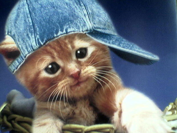 Виктор Псурцев