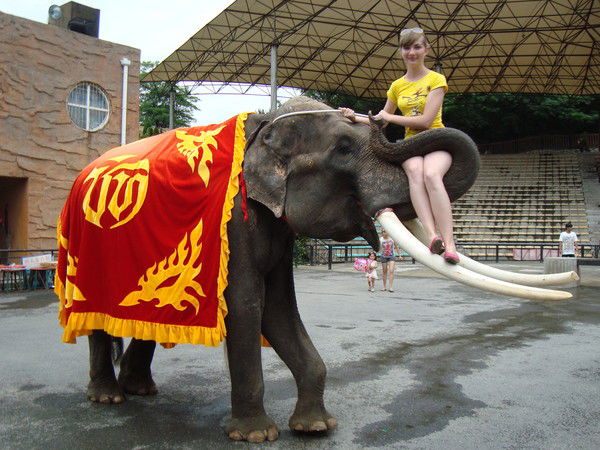 Юля Черёмухина