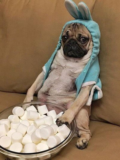 Darena Vereshchagina