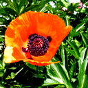 Оксана Кацай