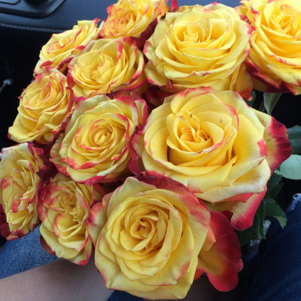 Ольга Михасек