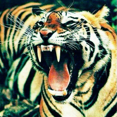 Мирон Агарков